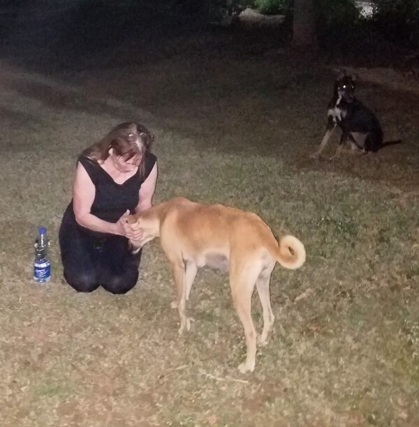Pet Therapy